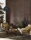 185785.webp