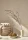 185788 (1).webp