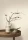 188180.webp