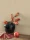 188181.webp