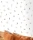 181903.webp