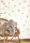 177831.webp