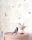 177820.webp