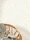 181910.webp
