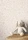 181905.webp