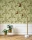 181923.webp