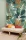 159079.webp
