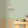 178407.webp