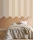 WAVE BASE S MARRON.webp