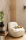 103761156v.webp