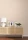 154273v.webp