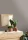 103761840v.webp