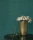 82077310.webp