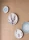 81720.webp