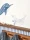 177813.webp