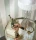 85837105v.webp