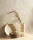 86420242v.webp