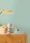 200.webp