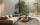 2_600x.webp