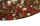 springflowers_close_600x.webp