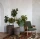 springflowers3_600x.webp