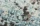 sintratealpeachmakro_1_600x.webp