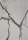 749x1055_29_600x.webp