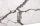 statuario_ivory_fragment_160x.webp