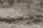 Statuariolightgrey_makro_600x.jpg