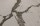 Statuariolightgrey_zblizenie_600x.jpg