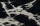 Pietrablack_makro_1400x.webp