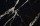 Pietrablack_zblizenie_1400x.jpg