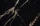 pietra_black_honey_zblizenie_1400x.webp